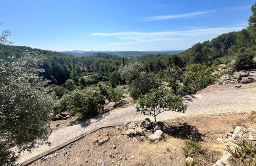 Aix-en-Provence, Bastidon provençal plein cœur de la forêt avec vue unique - Foto 40