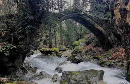 Tsagarada Stone House 1898 - Foto 70
