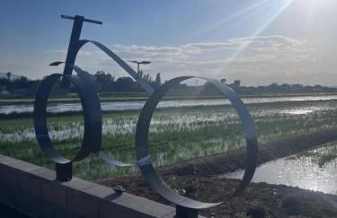 La caseta del canal - Foto 46