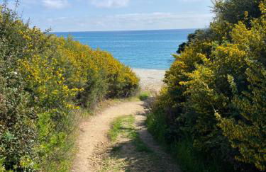 T2 VUE MER CORSE N193 - Foto 10