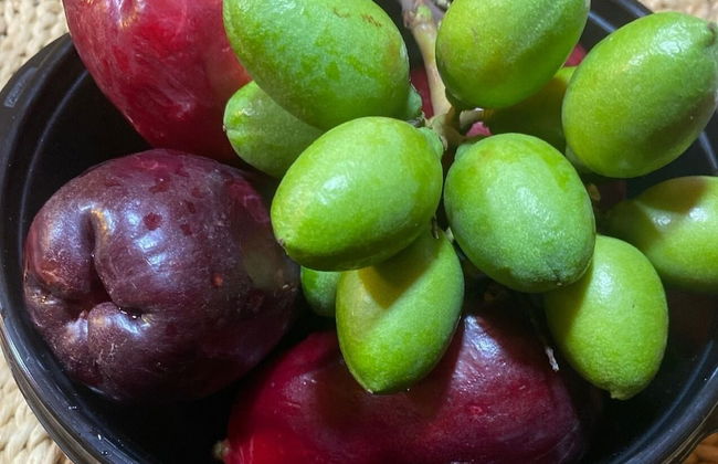 Mystic Ridge Resort Apt 57 - Foto 26