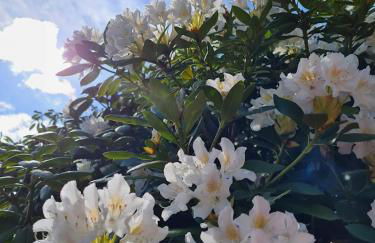 Ferienwohnung Martin - Foto 22