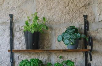 Villa Lanterna - Foto 51