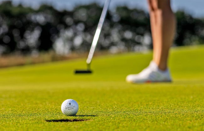 Bergvliet Villa's - Photo 50