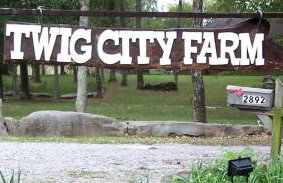 Secluded Sedona Tiny House in Woods Near Lake | Fire Pit, Hammocks, Full Kitchen & Breakfast - Foto 43