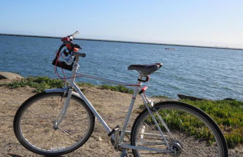 Garden Level Flat in 1885 Queen Anne Victorian Cottage in Alameda - Foto 53