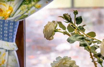 Il Cottage di Patrizia - Foto 9