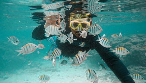 Chalé Palhano Beach Milagres - Foto 3