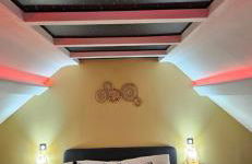 L'Hortillon - Photo 42