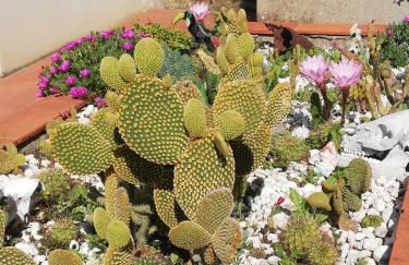 I Rosai appartamento sulle colline fiorentine - Foto 55