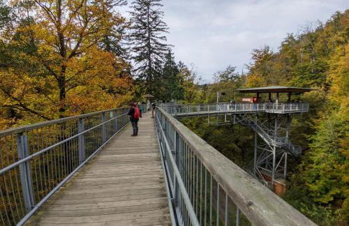 Harzschlösschen - Foto 19