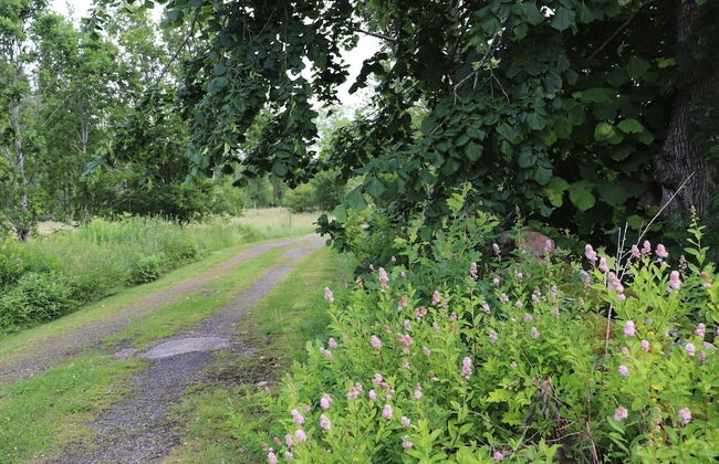 4 Person Holiday Home in Karl Gustav - Photo 18