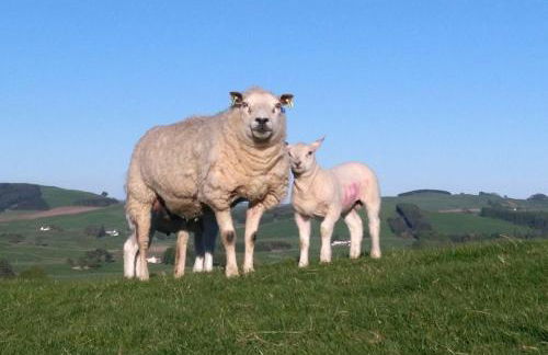 Boreland Farm - Photo 20