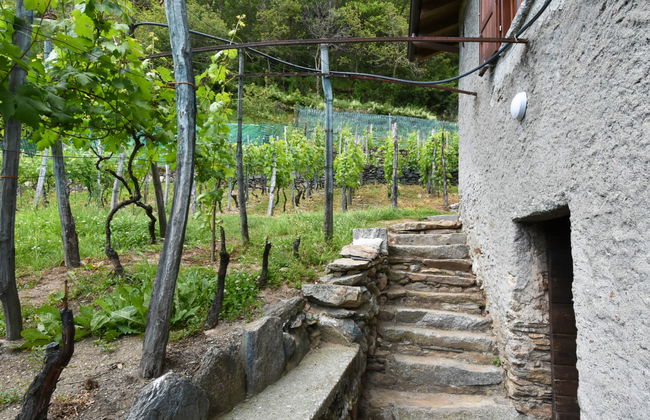 Rustico Rebustella - Foto 20