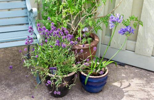 Chantry Cottage - Newby Hall, Ripon, North Yorkshire - Foto 19