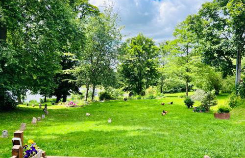 Park Wilkasy - Foto 51