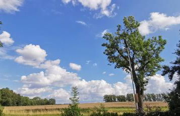 Gemütliches Ferienhaus "An der Schilde" in Renzow - Foto 32