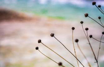 Villa La Jonche - Foto 64