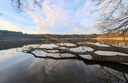 Rezydencja Warnowo 78 - Foto 67