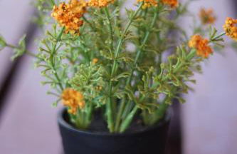 SPA-Apartment mit Sauna in Ulm-Böfingen - Foto 21