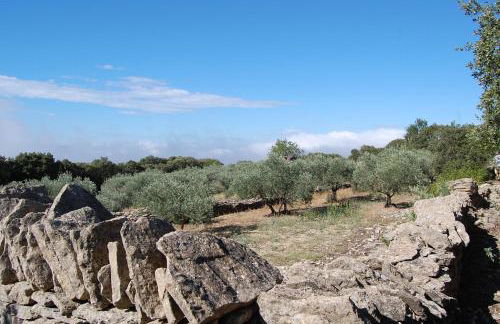 Cyprès du Paradis à Gordes - Photo 31