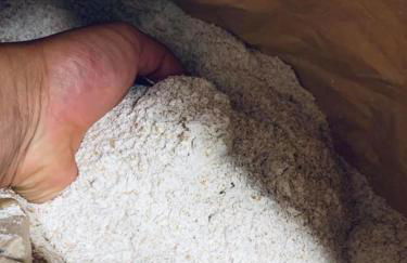 Il Giardino Dorato - Foto 35