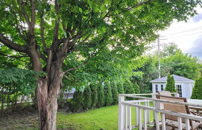 Timeless Tranquility, a place near everything! - Foto 19