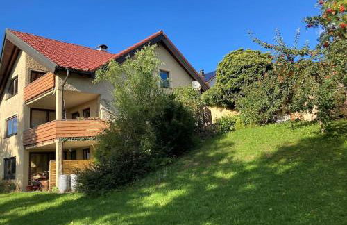 Schwarzwald-Oase für bis zu 10 Personen - Foto 19