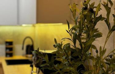 Family & Business Apartments PREMIUM No1 - 1 Bedroom with Private Jacuzzi, Balcony, Parking - Photo 40
