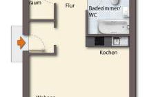 Küstenkrabbe - Foto 23