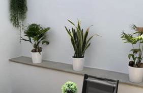 Soleada, amplia y renovada vivienda - Foto 16