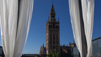 Welldone Placentines - Foto 2