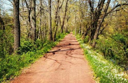 private luxe, garden, wellness home steps from Princeton - Foto 19