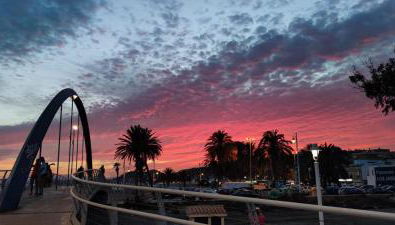 El Palo Estudio - Photo 2