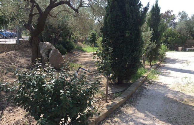 Vi Ja Villa Janas - Photo 24