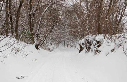 Gorgeous nook - Foto 3