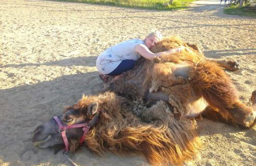 Pensjonat Przy Stajni - Foto 15