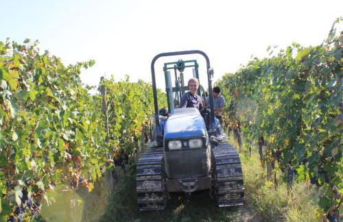 Agriturismo La Mussia - Foto 75