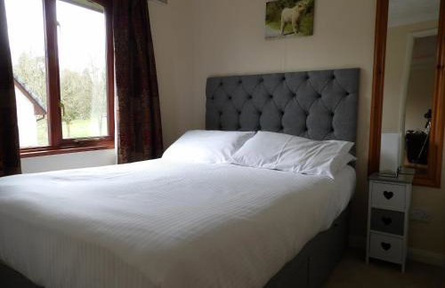 Hengar Select - Foto 9