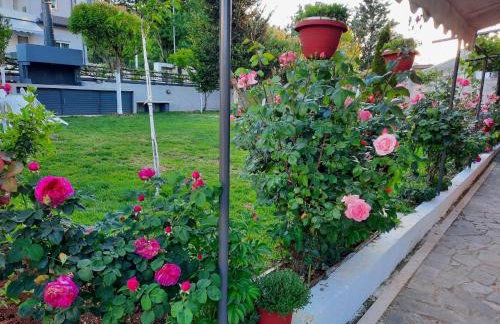 New Loft Polixeni - Foto 26