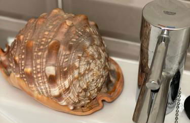 Bordal Houses Casa da Areia - Foto 20