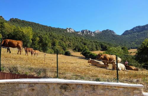 Casa Rural Tierra y Madera - Foto 26