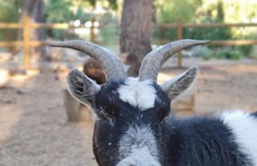 L'Autre Perle, balnéo en supplément, le Clos des Perles - Foto 50