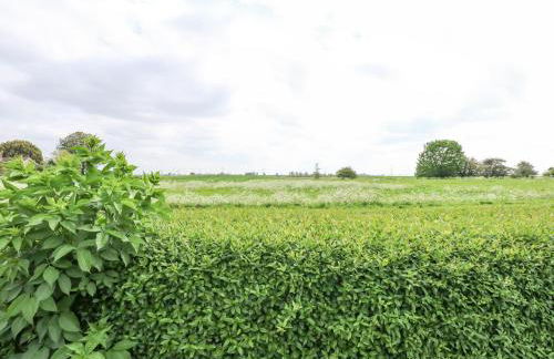 Holt House - Foto 42