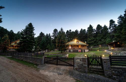 Dandy Villas Elatodasos - Chalet Artemis - Fir Forest - Jeep & Nature Lovers - Foto 48