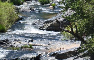 Loyah Cabin - Foto 28