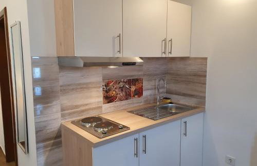 Studio apartmani Toplička bajka - Foto 29