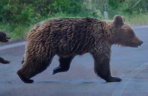 Residence Dei Medici-La casa nel parco - Foto 48