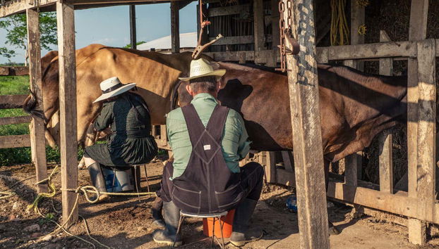 Traslado a Chihuahua + Almuerzo con menonitas - Foto 5