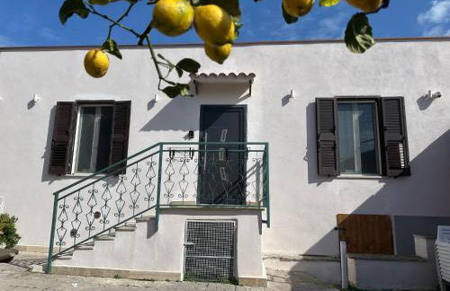 Ti Porto a Casa - Foto 43